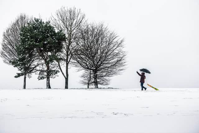 Light snow and light winds are being forecast by the BBC weather app. Picture: James Hardisty