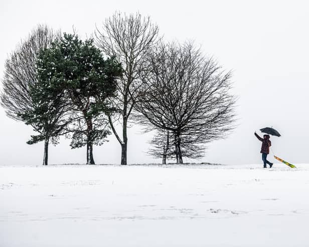 Light snow and light winds are being forecast by the BBC weather app. Picture: James Hardisty