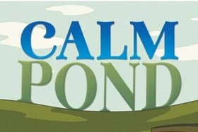 The cover of my book Calm Pond