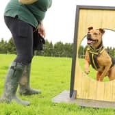 There is never a dull moment with Star and this week she enjoyed some off-lead agility. The eight-year-old Crossbreed has been waiting for her home for some time. The team at Dogs Trust cannot understand why it is taking so much time because she is so fun to be around.