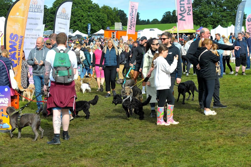 There were plenty of excitable owners and wagging tails at this year's DogFest, which saw a huge turnout.