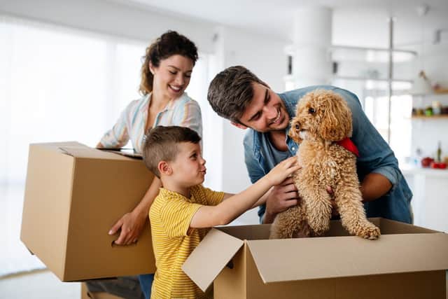 If you have children, make sure you have care arranged for them on the day of the move (photo: Adobe)