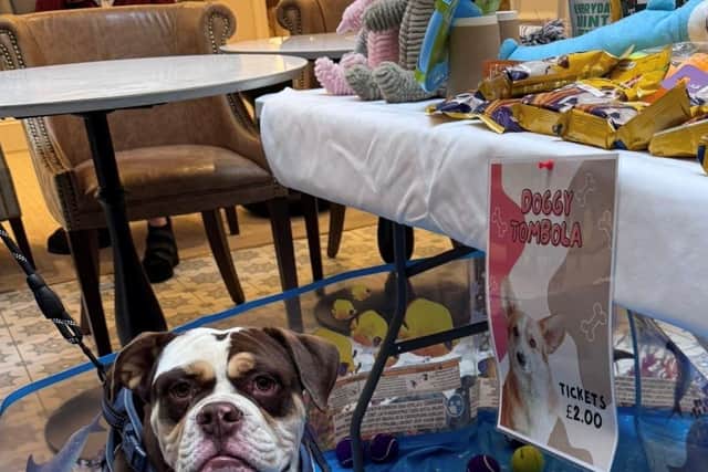 The day included a doggy tombola!