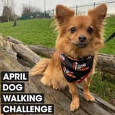 Dog owners are being urged to walk 60 miles with their four-legged friends over the course of April to raise money for Stand Up To Cancer’s life-saving research. Sign up now at su2c.org.uk/walkies