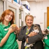 Tara from Barratt Homes and Thornberry Animal Sanctuary with some kittens