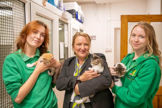 Tara from Barratt Homes and Thornberry Animal Sanctuary with some kittens