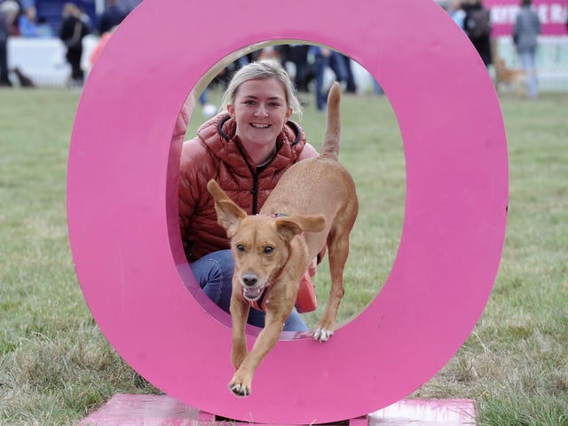 Laura Clegg of Whinmoor went along with Amber, her cross labrador cocker spaniel.