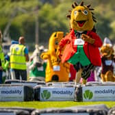 'Not So Slow Mo' races to victory