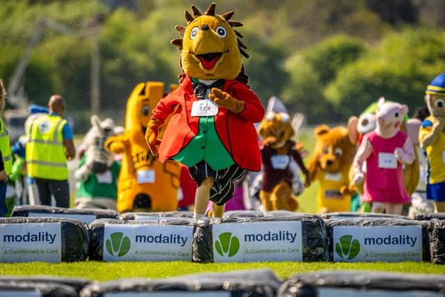 'Not So Slow Mo' races to victory