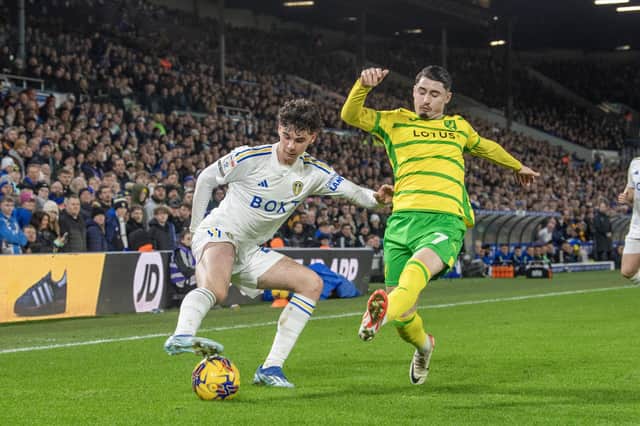 INJURY CONCERN - Leeds United teenager Archie Gray was superb against Norwich City but limped off in stoppage time of the 1-0 victory. Pic: Tony Johnson