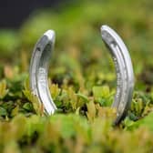 Doncaster locals have the opportunity to win a pair of County tickets to Betfred St Leger Day following a citywide hunt for hidden horseshoes.