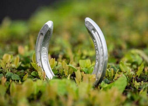Doncaster locals have the opportunity to win a pair of County tickets to Betfred St Leger Day following a citywide hunt for hidden horseshoes.