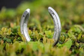 Doncaster locals have the opportunity to win a pair of County tickets to Betfred St Leger Day following a citywide hunt for hidden horseshoes.