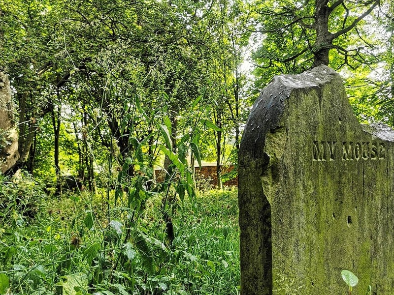 The largest of the headstones is for a pet mouse.