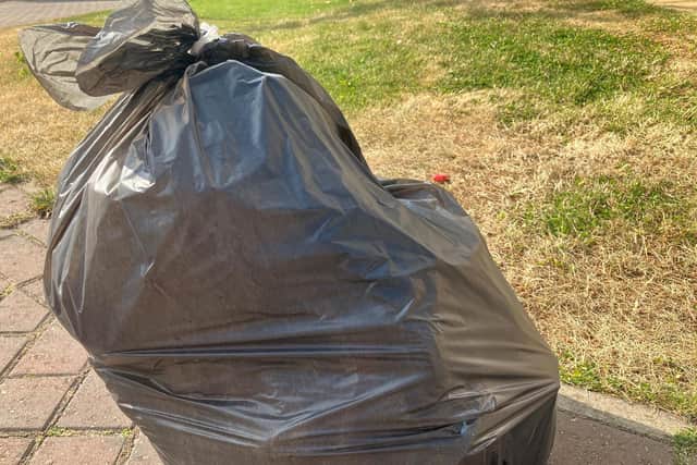 Bin Bag