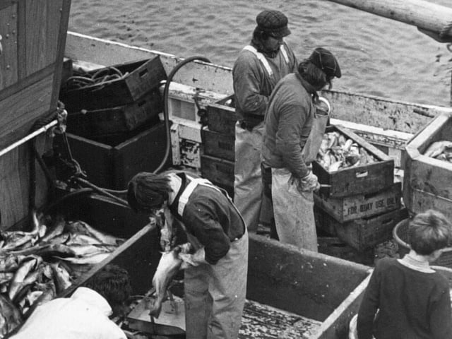 The crew of Whitby trawler Venus pictured gutting fish in Whitby Harbour in October 1972.
