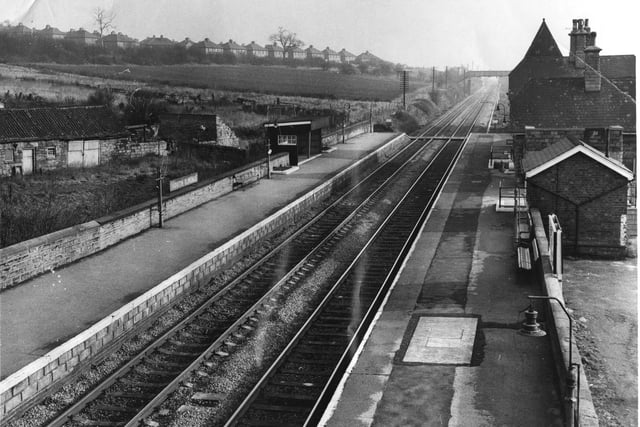 South Elmsall Railway Station was reported to be infested with rats in February 1971.