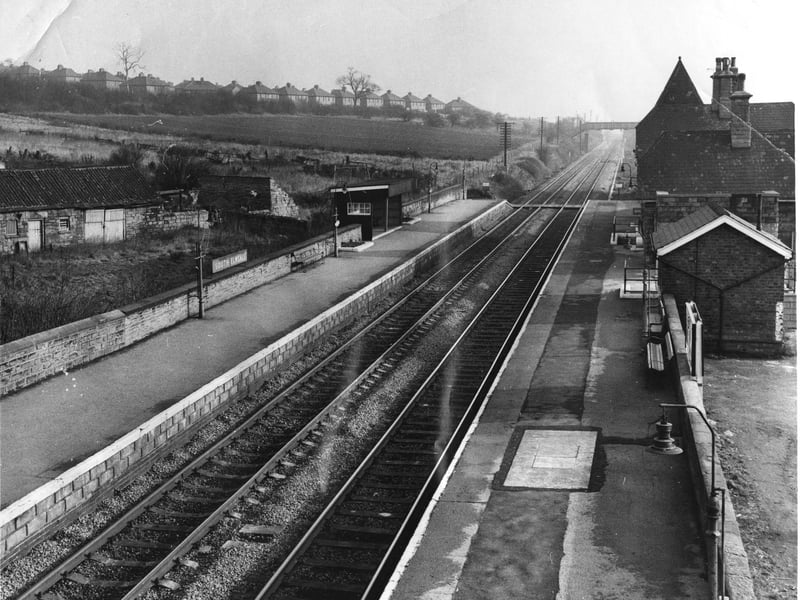 South Elmsall Railway Station was reported to be infested with rats in February 1971.