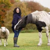 From the fields of Eccup to the screens of Channel 5, Leeds therapist Grace Olson is turning lessons learned from her remarkable flock of therapy sheep into children’s stories.