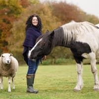 'My therapy sheep have helped children negatively affected by phones'