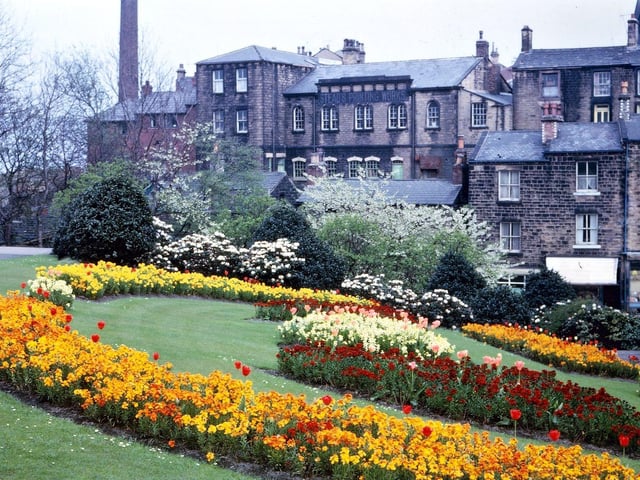 Springtime flower beds in the Maternity Hall gardens viewed from in front of Morley Hall in April 1965. The parade of shops up Scatcherd Hill can be seen, as can buildings along Troy Road which overlook this area. The most well-known of these was the building named the Observer Office which originated as the New Town School, ie. the Sunday School building of the Old Chapel which Samuel Stead converted into his Morley Observer printing works and offices for the newspaper.