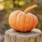 Halloween pumpkin