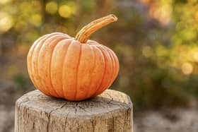 Halloween pumpkin