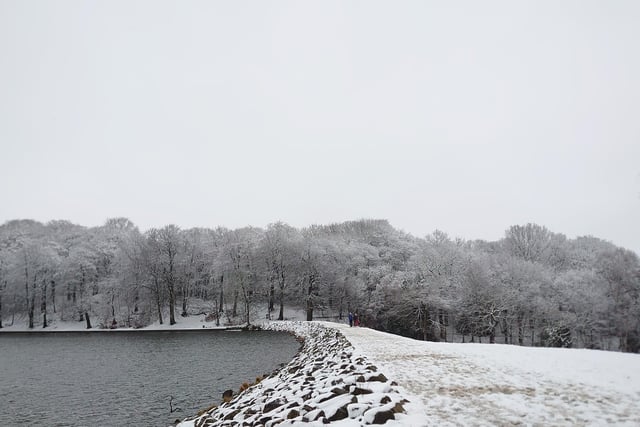 A view over Roundhay Park's lake, as the park has been transformed into a winter wonderland.