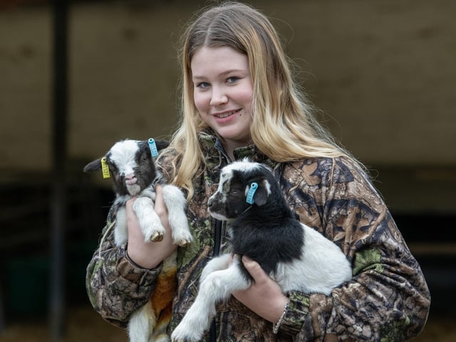 Birthing season has brought some adorable new baby animals, with lots more expected over the coming weeks.