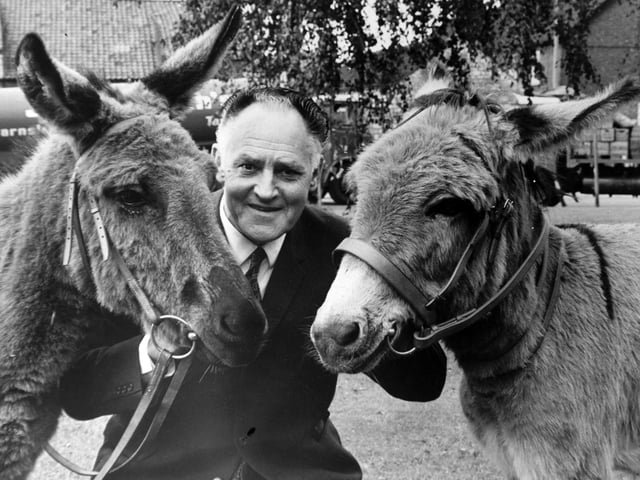 This is Max Faircliffe who was a  foreman at John Smith's Tadcaster Brewery. He is pictured with his surprise retirement presents – two donkeys.  Mr Faircliffe, who is chairman of Tadcaster Rural Council, already kept bantams, tropical fish, pigeons and a dog at his home.