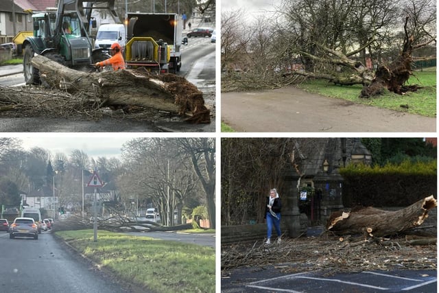 Fallen trees have caused travel disruption across the city as the force of Storm Otto is felt.