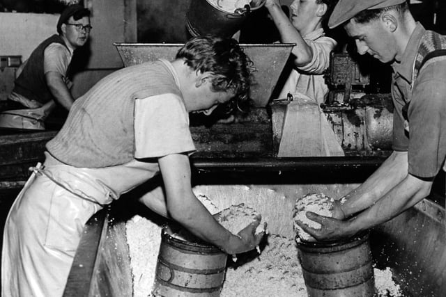 A process in the making of Wensleydale cheese at a Hawes factory in October 1961.  Pictured are Harold Calvert, Thomas Balderston and John Fawcett grinding the cheese curd.