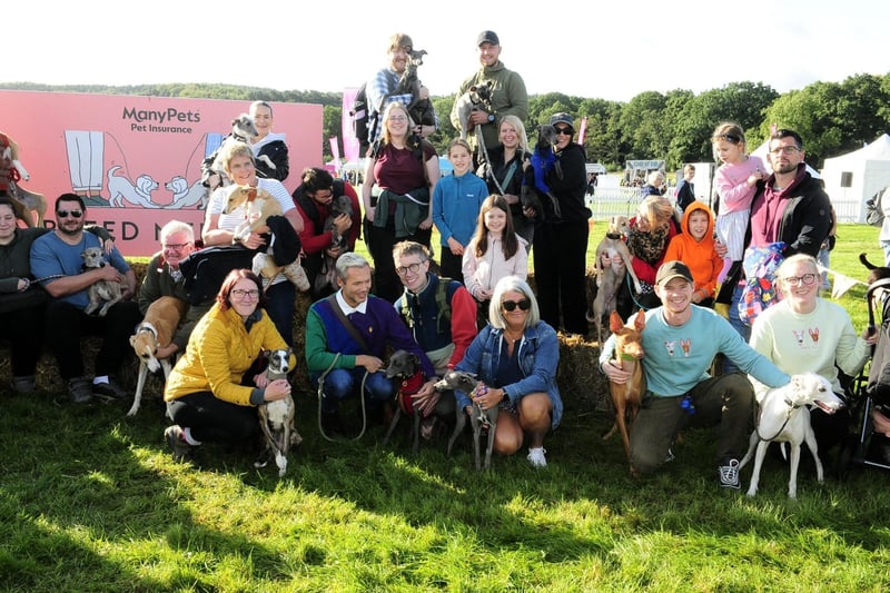 There was a meeting of minds at this year's DogFest, as owners of Greyhounds and Whippets gathered in a corner of the grounds to share their love of the breeds.