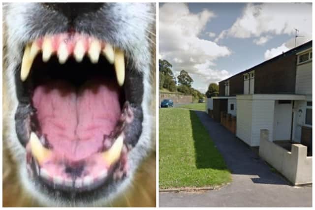 The dog bit the pizza delivery at the house on Fawcett Way. (library pics by WYP / Google Maps)
