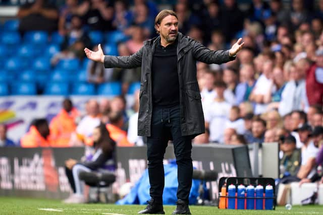 TOUGH TIME - Daniel Farke has a raft of Leeds United injuries to deal with but insists he won't drop his expectations of the squad. Pic: Getty