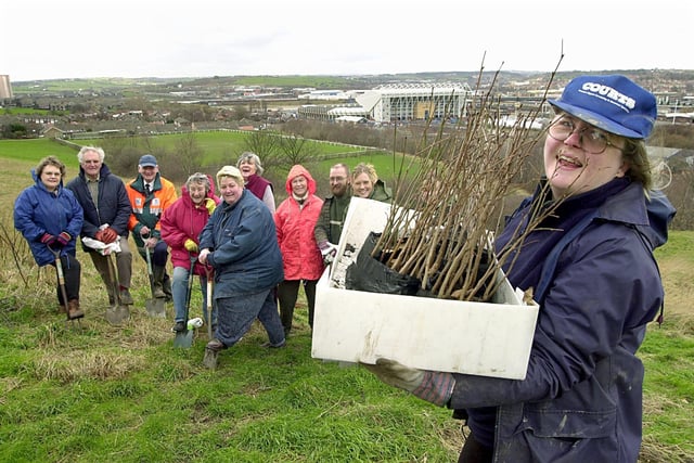 Secretary of Beeston in Bloom Sheila Stuttard leads her team of tree planters on a site overlooking Elland Road in March 2002.