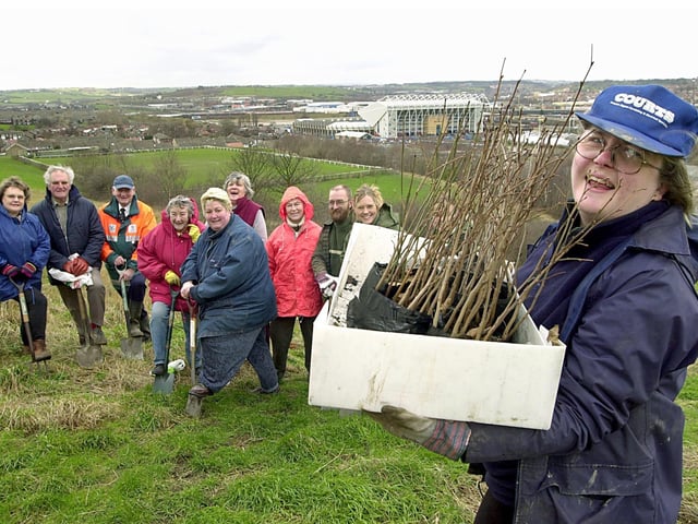 Secretary of Beeston in Bloom Sheila Stuttard leads her team of tree planters on a site overlooking Elland Road in March 2002.