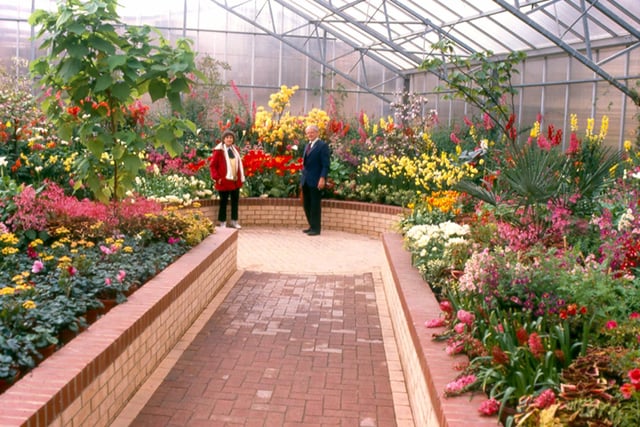 A bright display of exotic flowering plants under glass at Tropical World in Roundhay Park in June 1989.