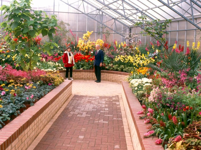 A bright display of exotic flowering plants under glass at Tropical World in Roundhay Park in June 1989.