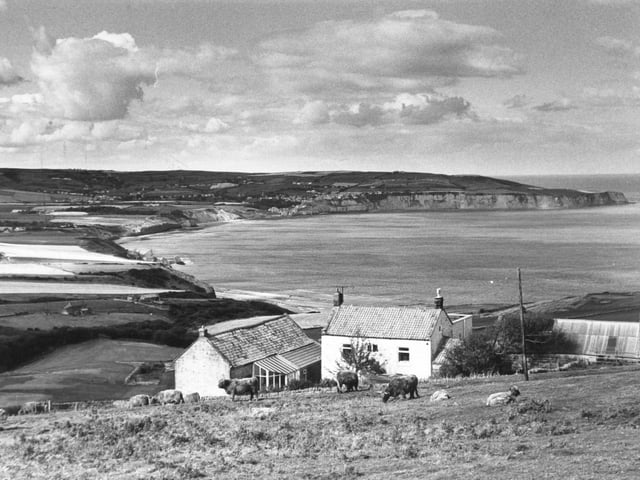 From Cleveland Way walk at Ravenscar in September 1980.  Robin Hood's Bay is in the middle distance.