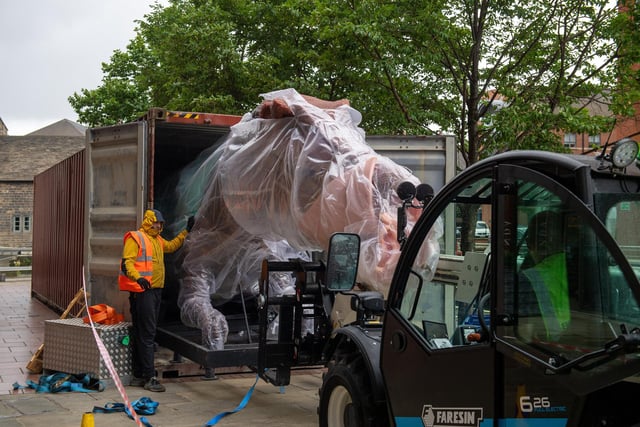 Getting the Spinosaurus up was an impressive feat on its own, but thankfully the 99 million year old creature was calm as it was released from its shipping container.