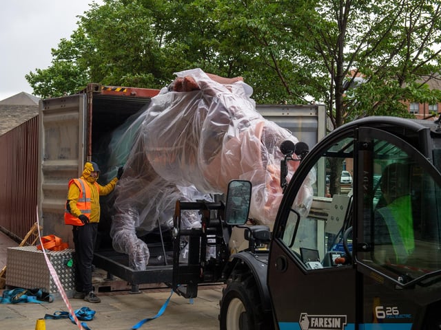 Getting the Spinosaurus up was an impressive feat on its own, but thankfully the 99 million year old creature was calm as it was released from its shipping container.