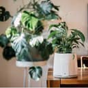 Natede Smart represents great value for money over time.