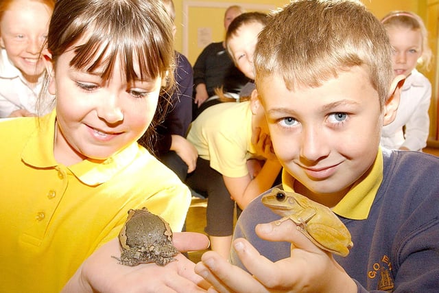Zoolab came to the school 15 years ago and the pupils had a great time as they got to meet these little visitors.