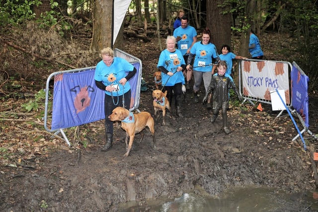 The course is designed to be a fun challenge for both human and dog.