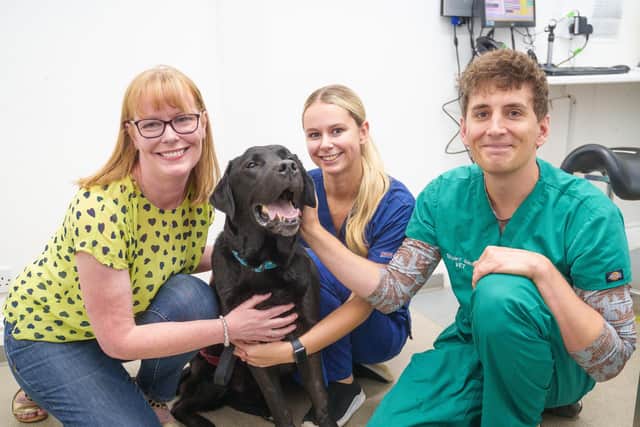 Kerry Gibbon and her Labrador Indy, at Ashlands Veterinary Centre in Ilkley with veterinary nurse Megan Fowler and vet Stuart Black, who helped saved his life.  Picture: Ashlands Veterinary Practice