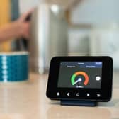 Woman At Home Boiling Kettle For Hot Drink With Smart Energy Meter In Foreground. Daisy Daisy - stock.adobe.com
