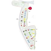 The site plan for Stanhope Fields