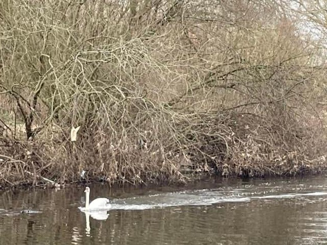 Sarah Robinson said: "The River Calder through Wakefield."