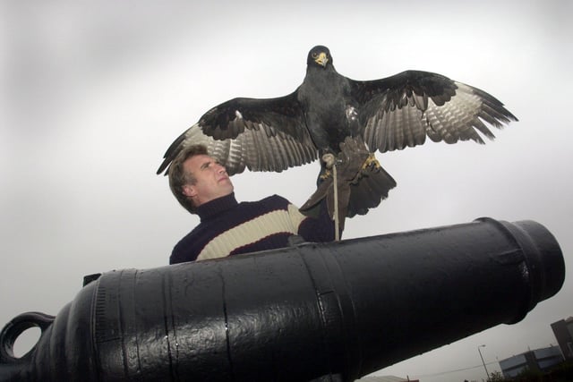 Anthony Rhodes exhibits his African Black Eagle named Macon, at the Royal Armouries Musuem, Leeds, as part of the celebration of birds of prey from around the world in September, 2001.